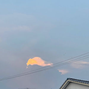 Meet your Posher, Leonardo